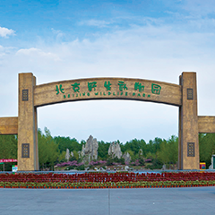 18����luck��(�й�)-�ٷ���վ